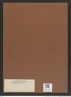 Triceratium sp. (de-Toni-Nr.: Genus 140) Zeichnungen Sammlung Grunow Mappe 04054 (Herbarium_W_Grunow_drawings_Folder_04054)